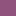 Rose Violet