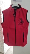 Excellent gilet, commandé pour une fille, taille S parfaite.