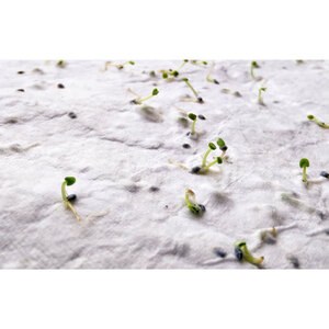 ASIDE Eco-Friendly A5 Wildflower Seed Paper Sheets - GiftRetail MO6915