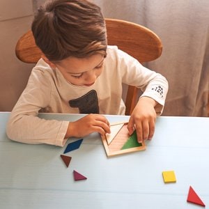 Claps 95107 - Wooden Tangram Puzzle for Skill Development