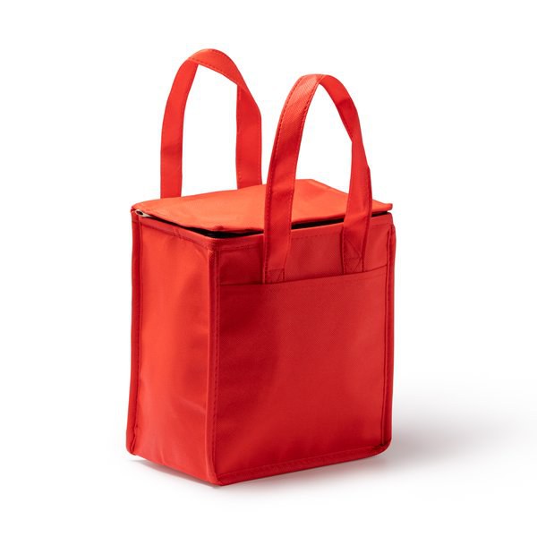 ALAPA Refroidisseur en tissu non tissé de grande capacité et intérieur isotherme