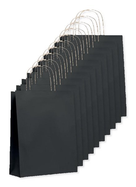 PAPER TONE M Eco-Friendly Medium Recycled Gift Bag 90gsm