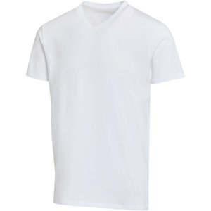 Elevate 39665 - T-shirt unisexe en coton bio certifié OCS Balfour à manches courtes et col en V de 200 g/m²